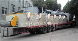 DW Single-layer Mesh-Belt Conveyor Dryer