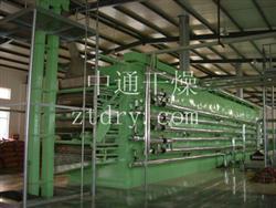 DW Multi-layer Mesh Belt Conveyor Dryer
